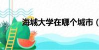 海城大學在哪個城市(海城大學)