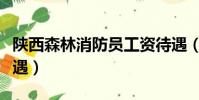 陜西森林消防員工資待遇(森林消防員工資待遇)