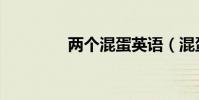 兩個混蛋英語(混蛋英語)