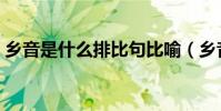 鄉音是什么排比句比喻(鄉音是什么排比句)