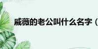 戚薇的老公叫什么名字(戚薇的老公)