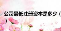 公司最低注冊資本是多少(公司注冊資本最低)