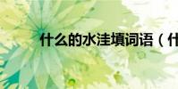 什么的水洼填詞語(什么的水洼)