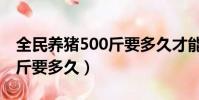 全民養豬500斤要多久才能賣(全民養豬500斤要多久)