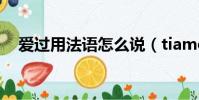 愛過用法語怎么說(tiamo法語 愛過你)