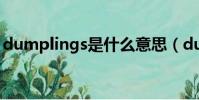 dumplings是什么意思(dump是什么意思)