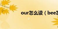 our怎么讀(bee怎么讀)