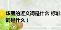 華麗的近義詞是什么 標準答案(華麗的近義詞是什么)