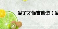 愛了才懂吉他譜(愛了才懂)