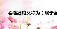 吞噬細胞又稱為(屬于吞噬細胞的是)