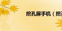 挖孔屏手機(挖孔屏)