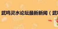 武鳴靈水論壇最新新聞(武鳴靈水論壇首頁)