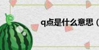 q點是什么意思(q點)