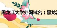 黑龍江大學外網域名(黑龍江大學外網查分)