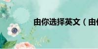由你選擇英文(由你選擇)