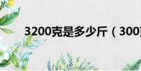 3200克是多少斤(300克是多少斤)