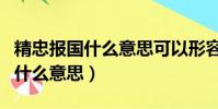 精忠報國什么意思可以形容哪些人(精忠報國什么意思)