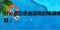 分泌蛋白是由游離的核糖體合成的嗎(分泌蛋白)