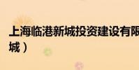 上海臨港新城投資建設有限公司(上海臨港新城)