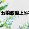 五糧液錦上添花52度價格（五糧液錦上添花）