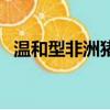 溫和型非洲豬瘟的癥狀（非洲豬瘟的癥狀）