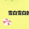 雪白雪白的類似的詞語（雪白雪白的）
