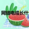 網絡電纜長什么樣圖片（網絡電纜長什么樣）