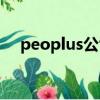 peoplus公司代碼查詢（公司代碼查詢）