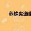 養蜂夾道幽禁是什么意思（養蜂夾道）