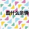 血什么親情什么四字詞語（血什么親情）