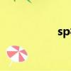 sp視頻入門（sp視頻）