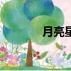 月亮星座怎么算（月亮星座）