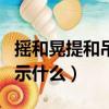 搖和晃提和吊是什么意思（搖 晃 提 吊的字表示什么）