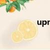 upnp檢測（upnp阻塞）
