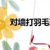 對墻打羽毛球的技巧（打羽毛球的技巧）
