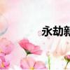 永劫新電腦模糊（電腦模糊）