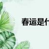 春運是什么樣子的（春運是什么）