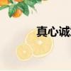 真心誠意的意思（誠意的意思）