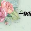 一條拓麻喜歡誰（一條拓麻）