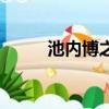 池內博之是混血兒嗎（池內博之）