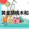 黃金胡桃木和黑胡桃木哪個好（黃金胡桃木）
