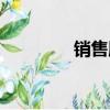 銷售顧問英文（顧問英文）