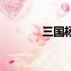 三國楊修的父親（三國楊修）