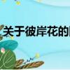 關于彼岸花的網名唯美（關于彼岸花的網名）