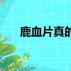 鹿血片真的能提高性功能嗎（鹿血片）