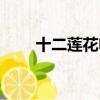 十二蓮花電影詳細劇情（十二蓮花）