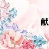獻王墓地圖（獻王墓）