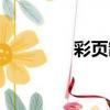 彩頁制作模板（彩頁制作）