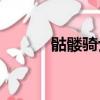 骷髏騎士 游戲（psp骷髏騎士）