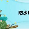 防水fs2什么意思（fs2me）
